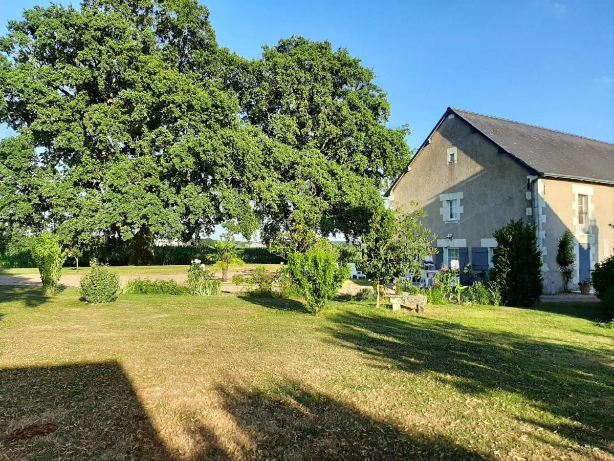 Avec Jardin Prive A 55 M² + Terrasse *